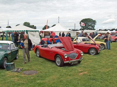 Sunday line up of Austin Healeys at Tatton Park