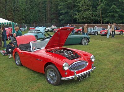 Sunday line up of Austin Healeys at Tatton Park