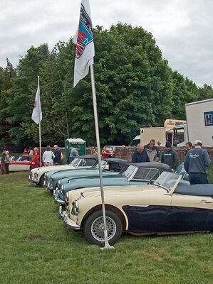 Sunday line up of Austin Healeys at Tatton Park